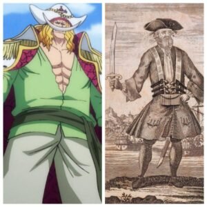 Real life pirate Edward Teach inspired Whitebeard from One Piece