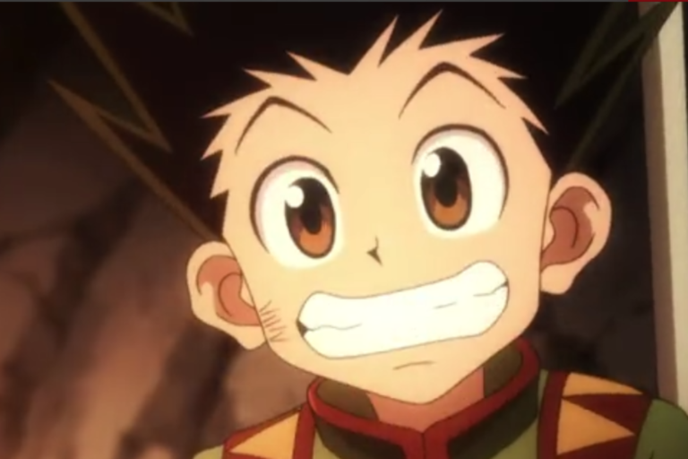 hunter x hunter gon happy